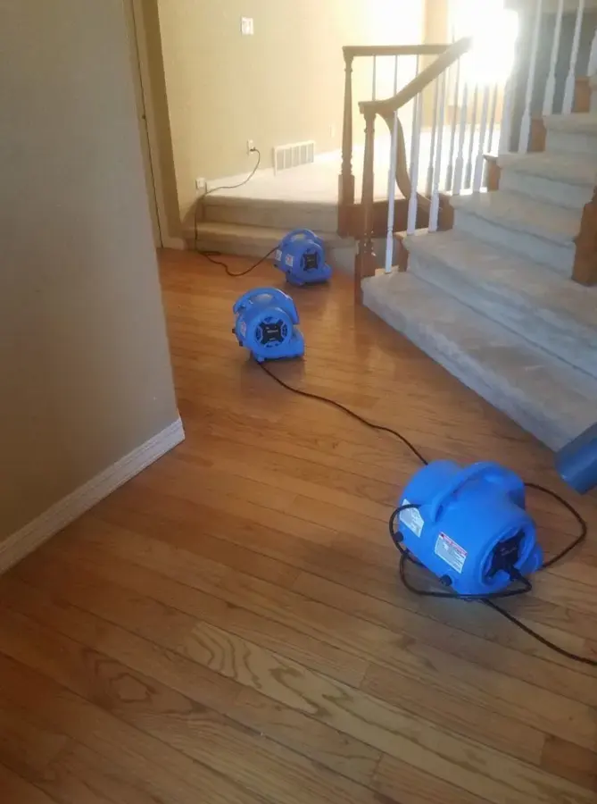 Blue air movers lined up on a hardwood floor beside a staircase during drying in a Loma Linda house
