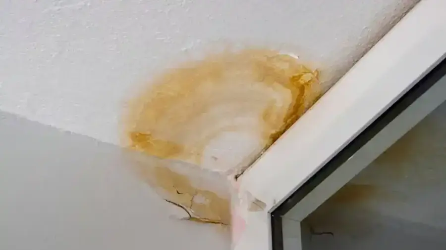 Yellow water stain spreading across a ceiling corner from a Highland ceiling leak